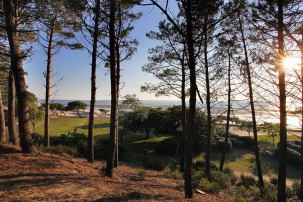 Appart Sur La Plage Pied Dans L Eau Avec Terrasse Jardin Vue Sur Le Bassin Depuis La Terrasse , Parking Arcachon Esterno foto