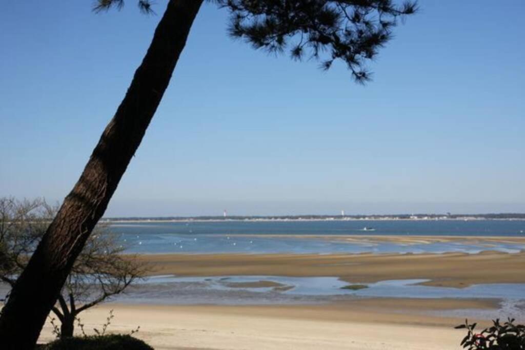 Appart Sur La Plage Pied Dans L Eau Avec Terrasse Jardin Vue Sur Le Bassin Depuis La Terrasse , Parking Arcachon Esterno foto