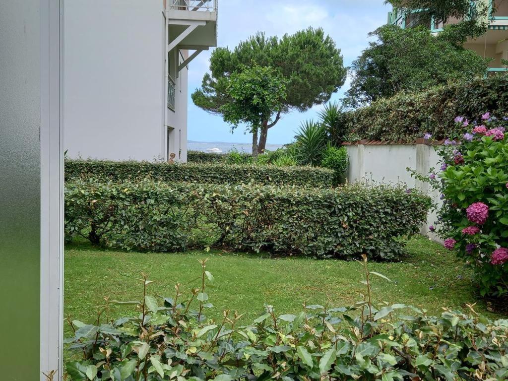 Appart Sur La Plage Pied Dans L Eau Avec Terrasse Jardin Vue Sur Le Bassin Depuis La Terrasse , Parking Arcachon Esterno foto
